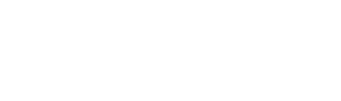 Pilomat Logo