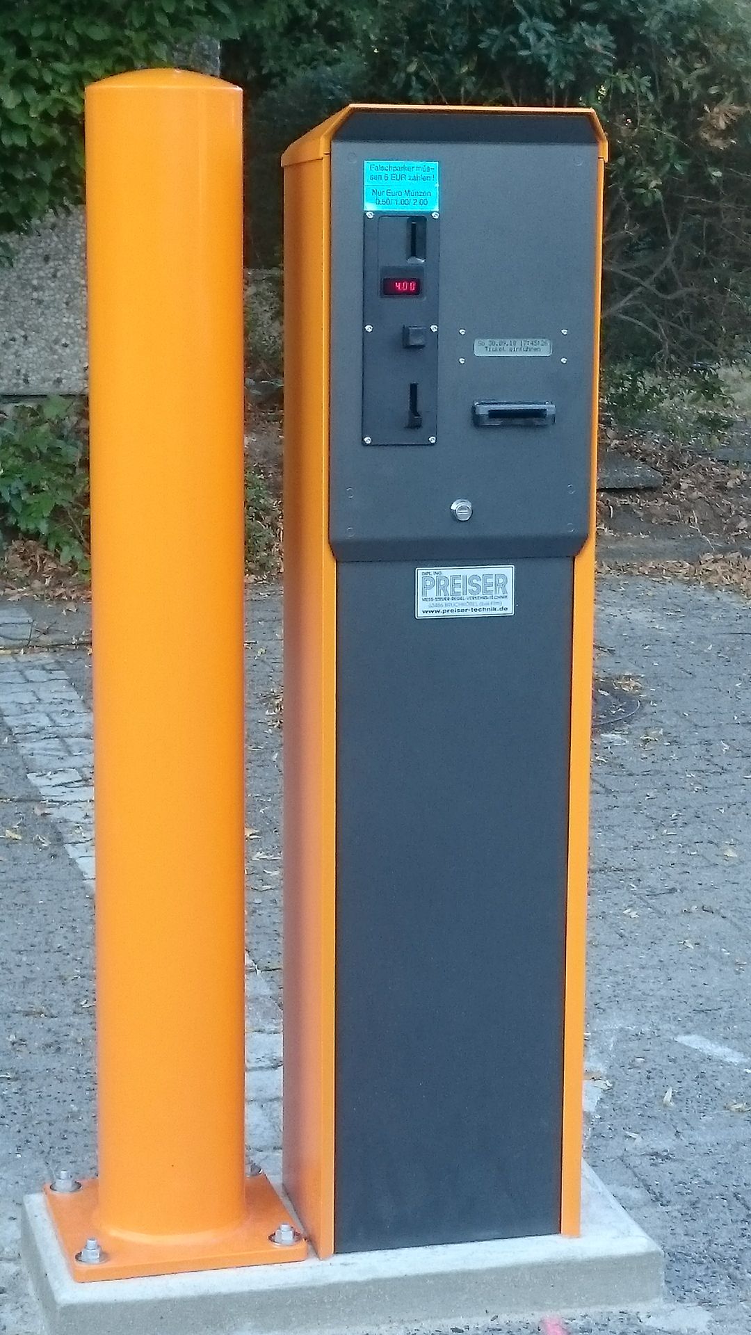 Galerie-Bild