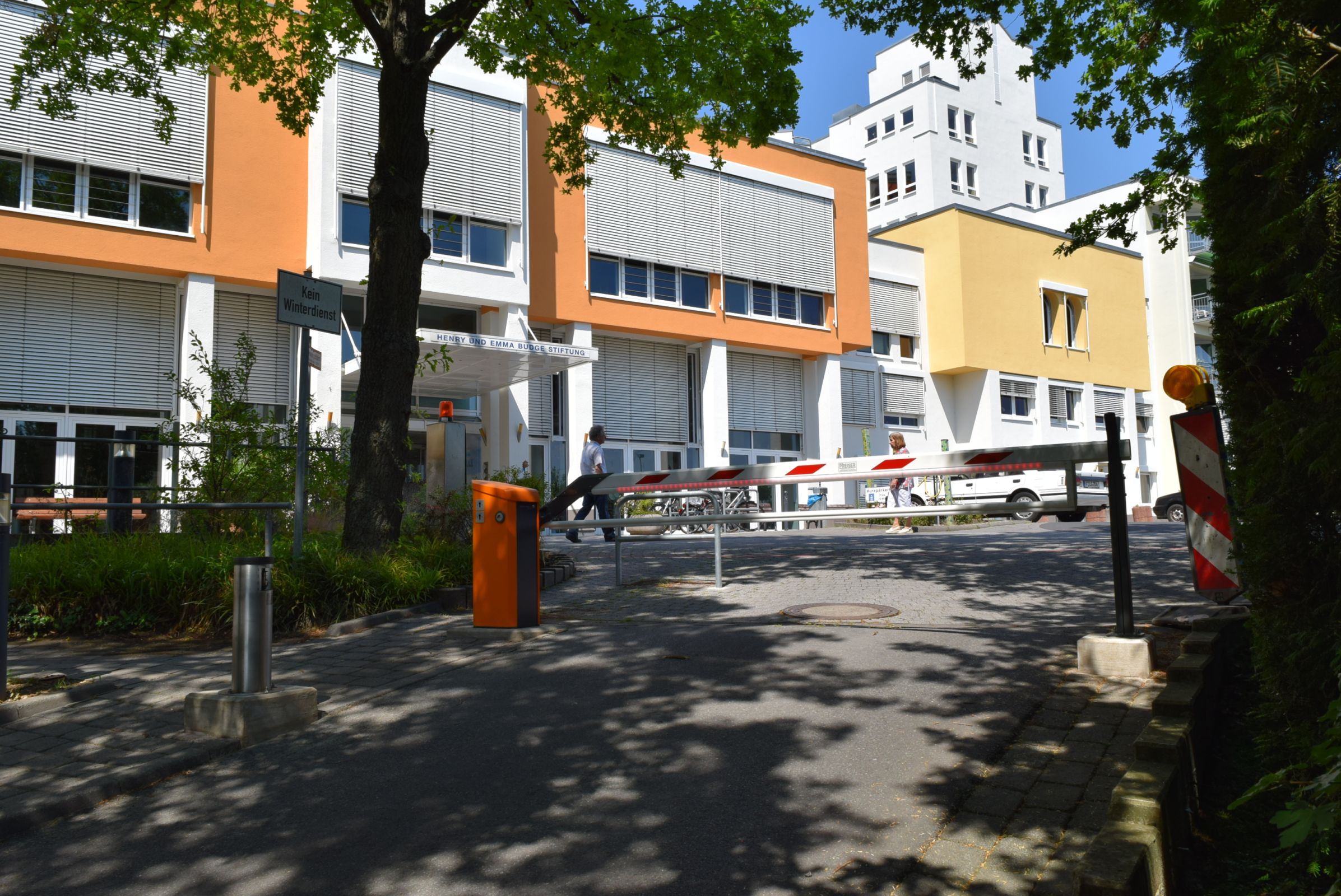 Galerie-Bild