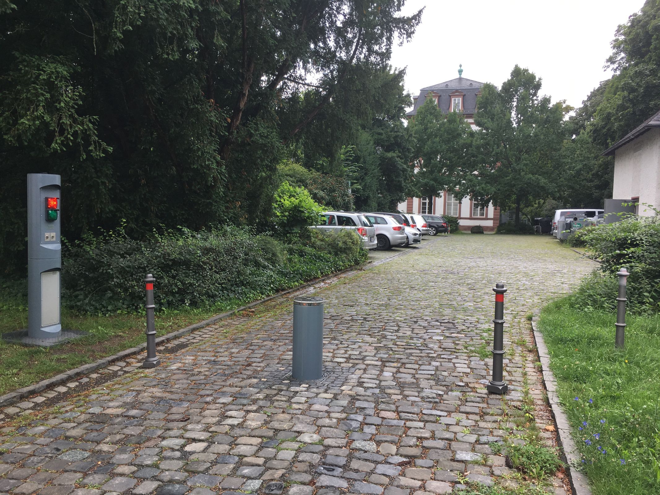 Galerie-Bild