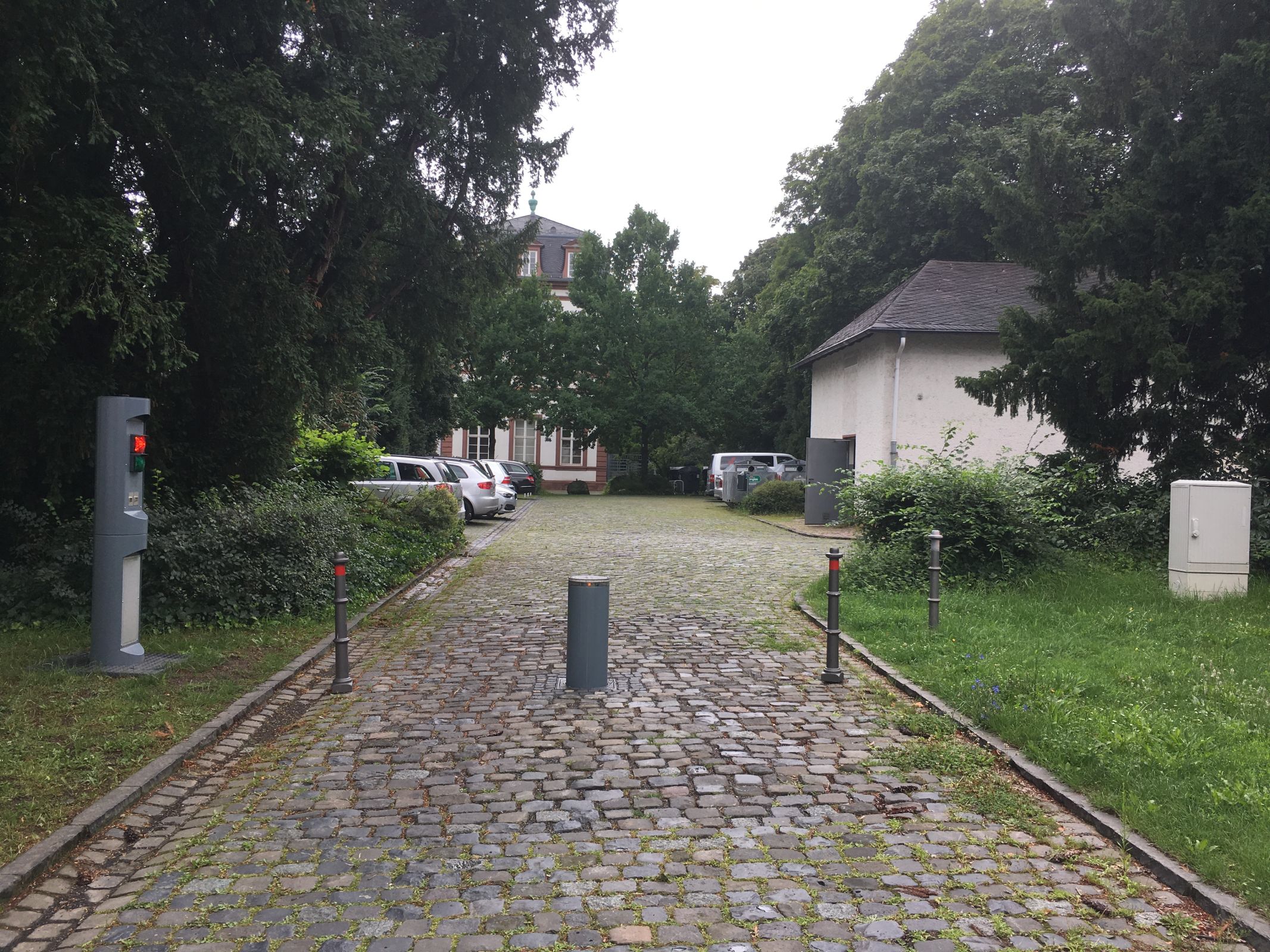 Galerie-Bild